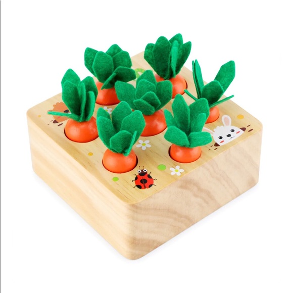 Other - Montessori Carrot Toy